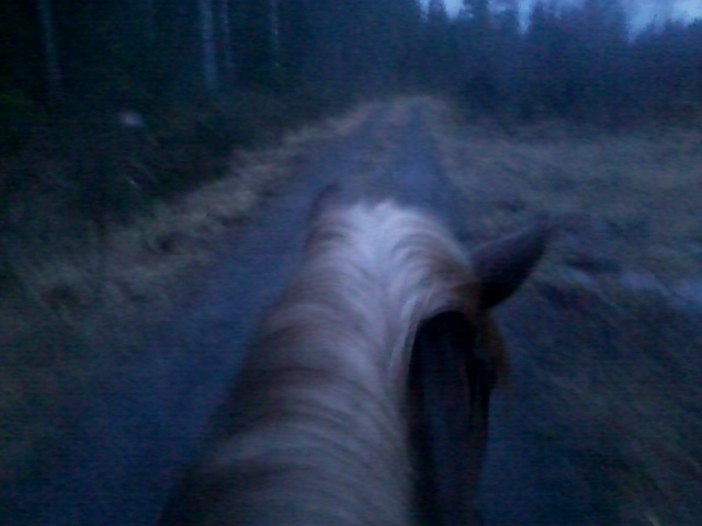 Late evening ride