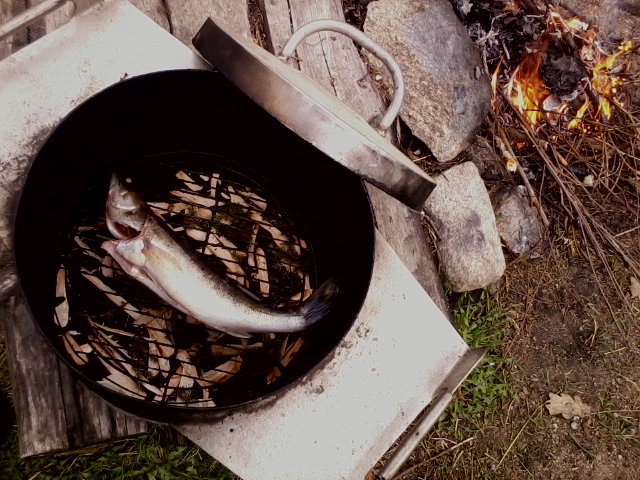 About to smoke fish