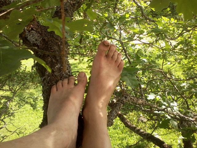 today is a good day to climb a tree