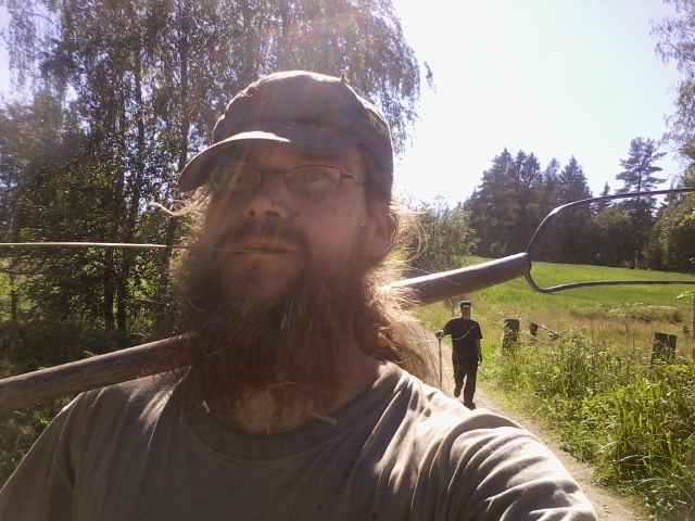 been putting up hay