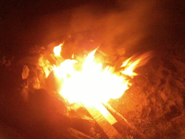  nights are getting dark