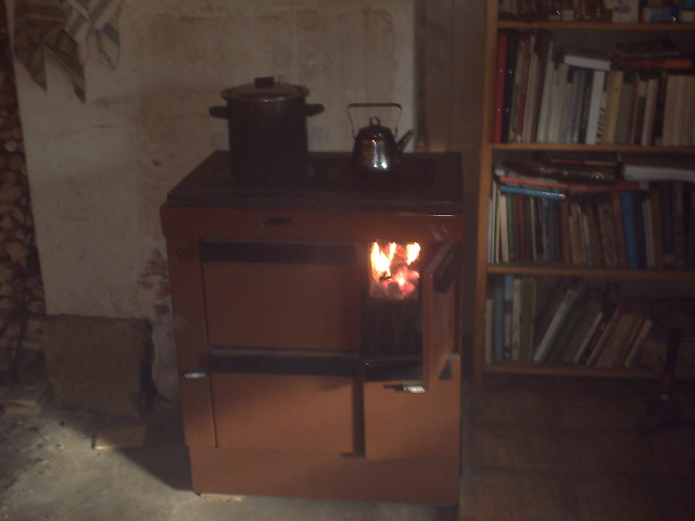 A wood burning stove. Seems like I'm going to surive the winter =)