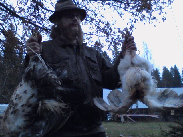 I let them hang for couple of days. That makes the meat more tender.