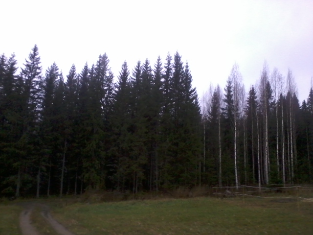 waiting for winter to come