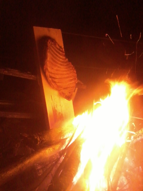 roasting lamb ribs