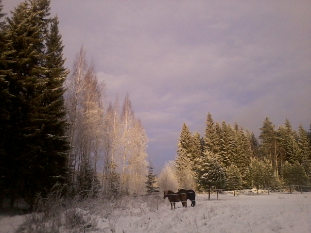 a brief moment of sunlight
