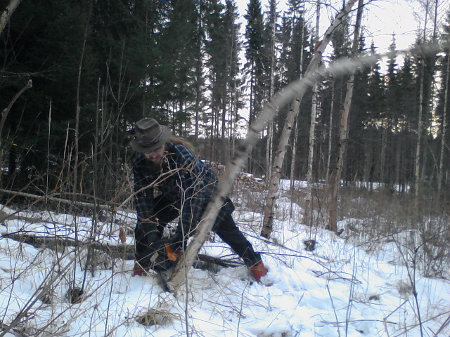 23rd of January 2017