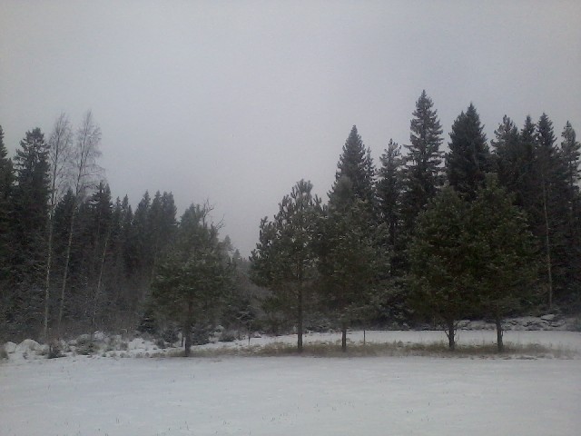 4th of February 2017