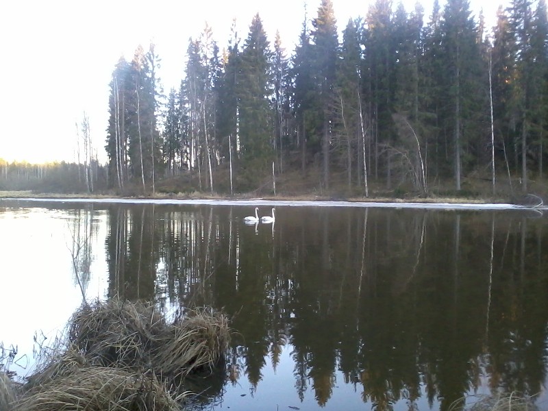 3rd of May 2017