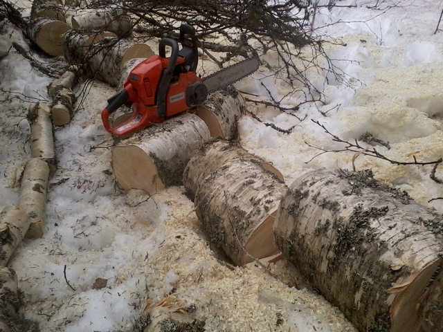 28th of February 2019