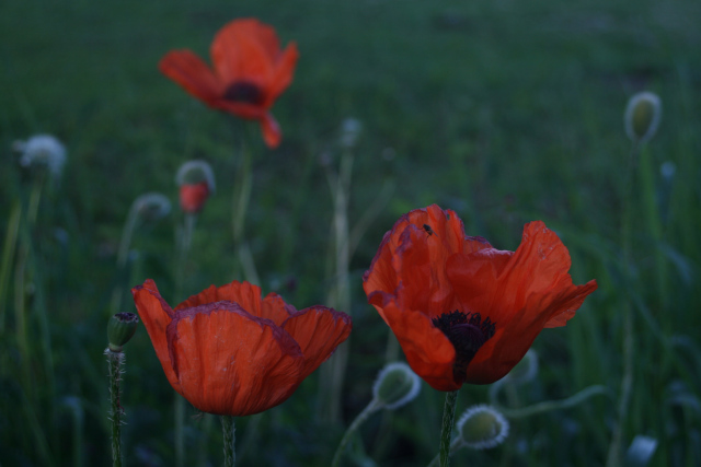 10th of June 2019 10th of June 2019