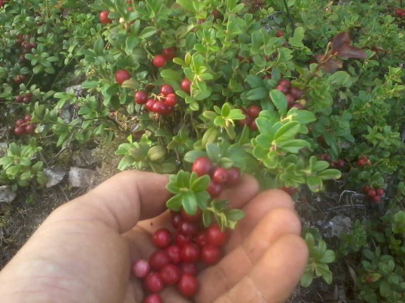1st of September 2019