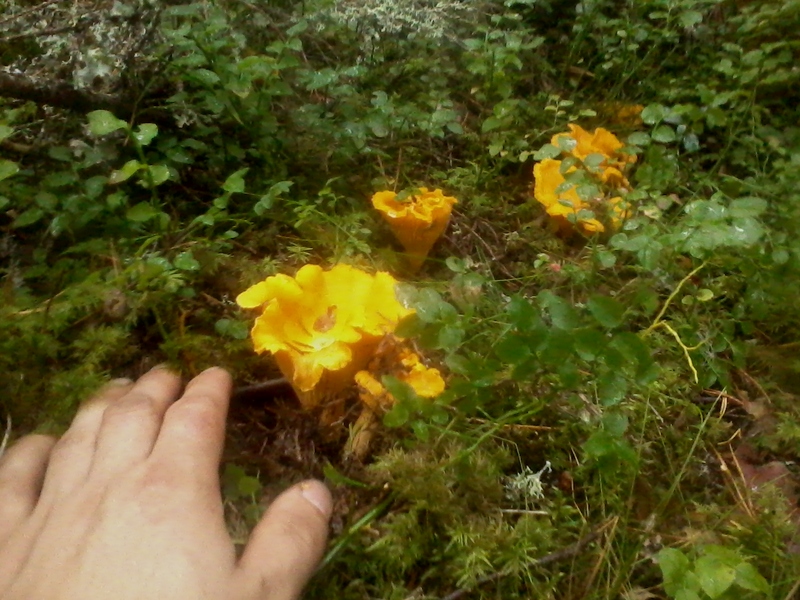 11th of September 2019