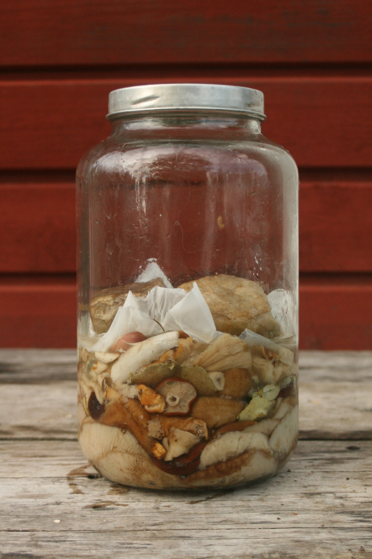 13th of September 2019