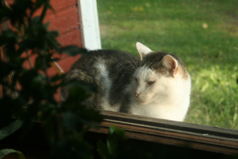 14th of September 2019