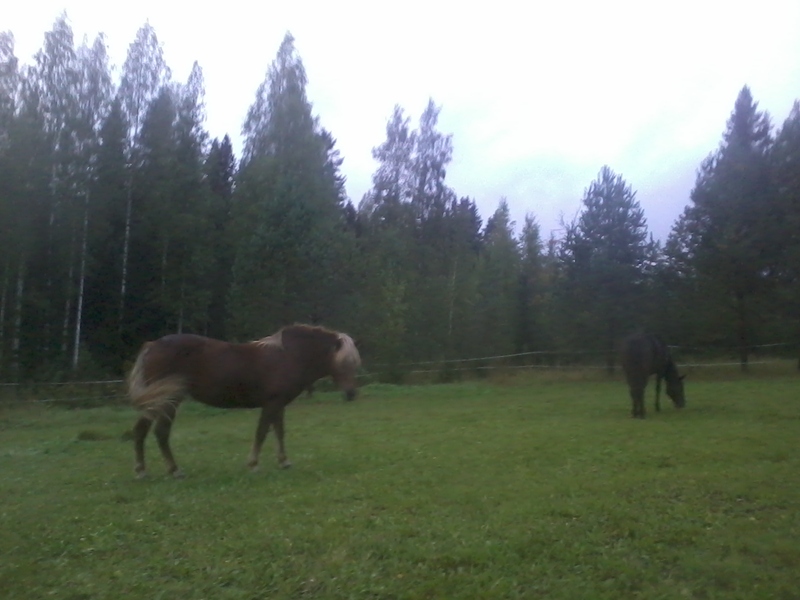 15th of September 2019