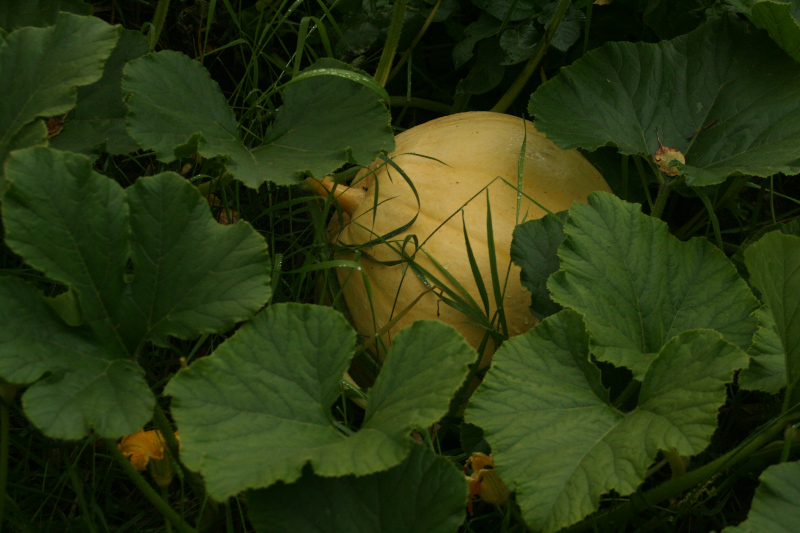 17th of September 2019