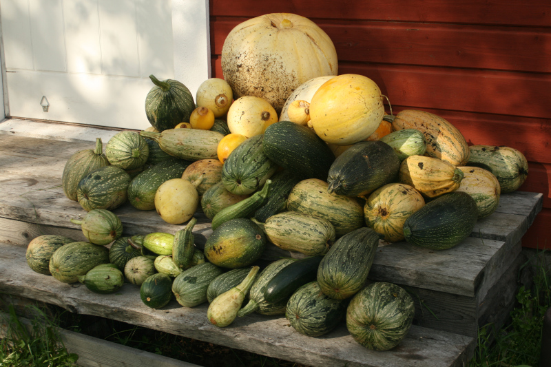 20th of September 2019