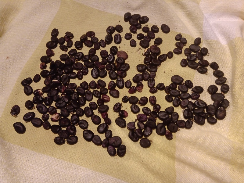 24th of September 2019