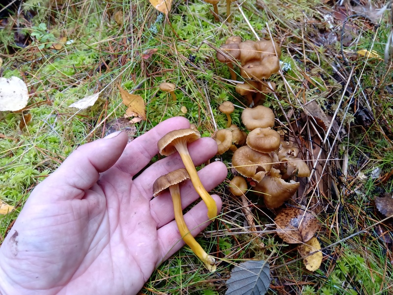 11th of October 2019