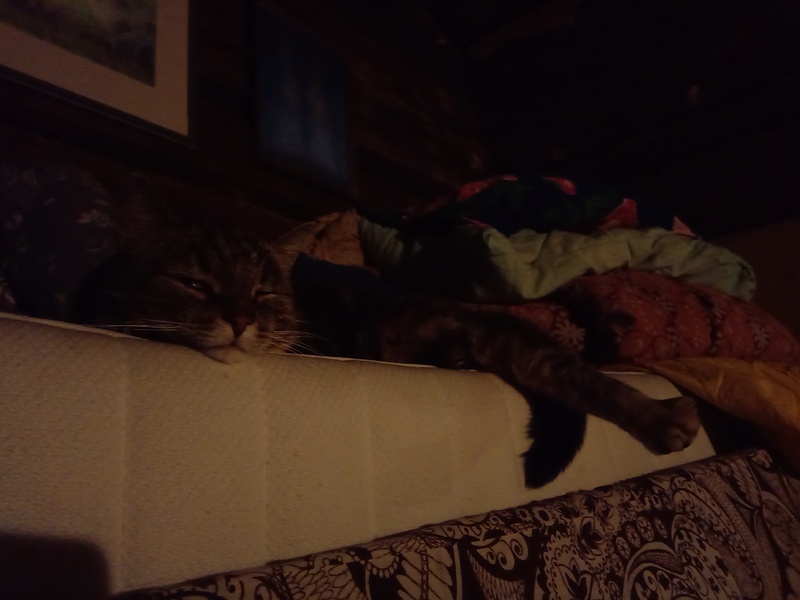 13th of October 2019