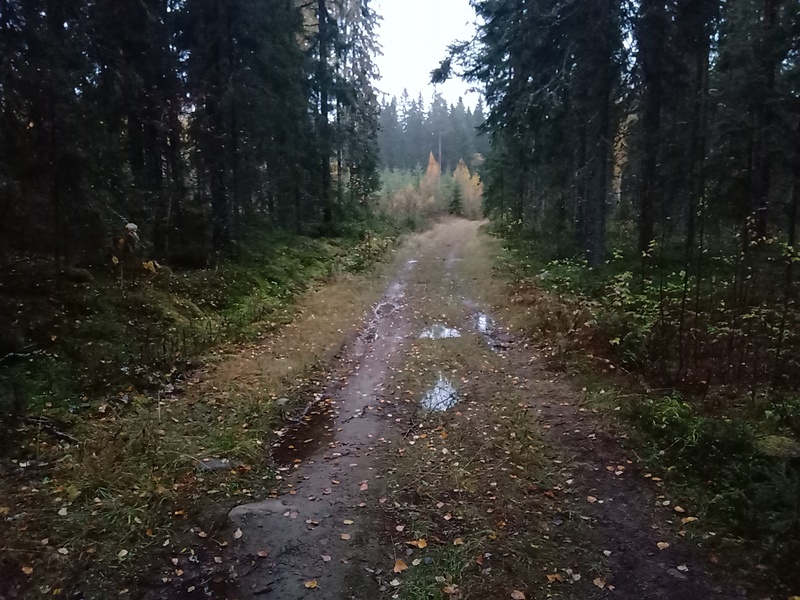 17th of October 2019