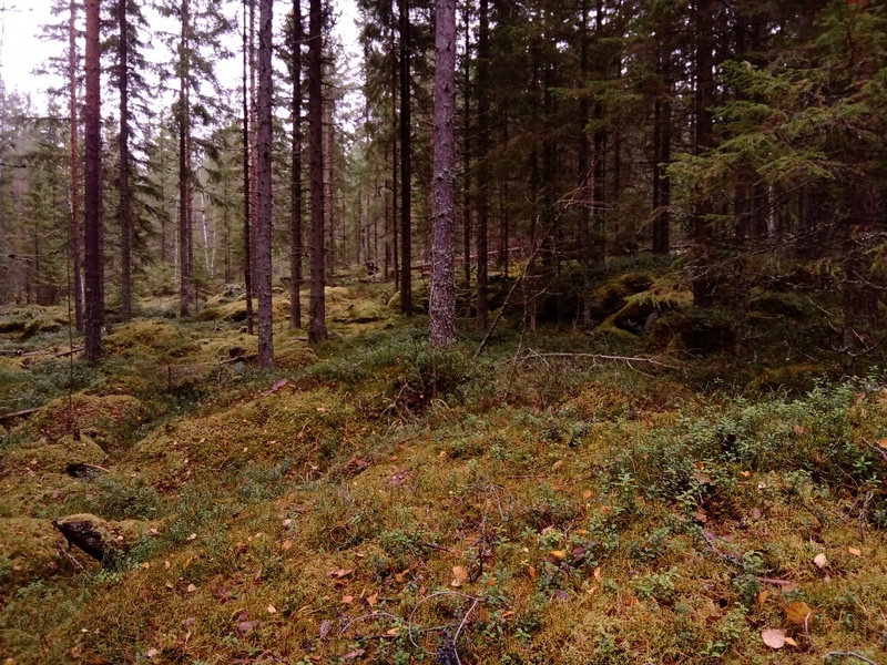 25th of October 2019