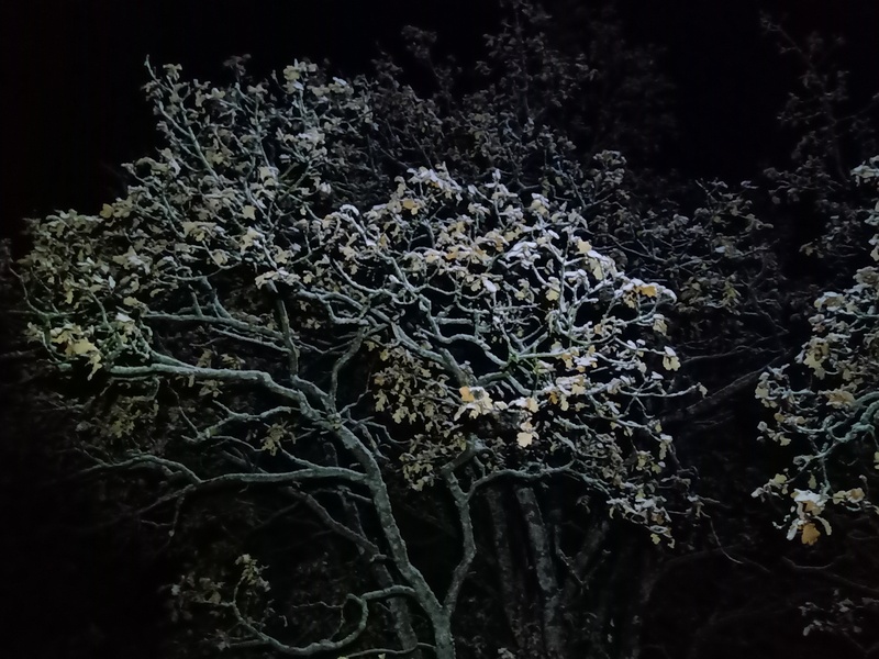 27th of October 2019