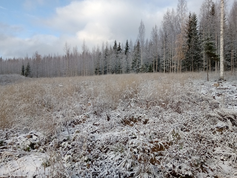 28th of October 2019