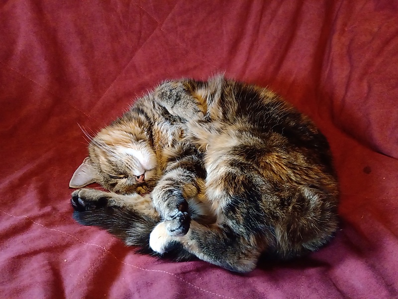 3rd of November 2019