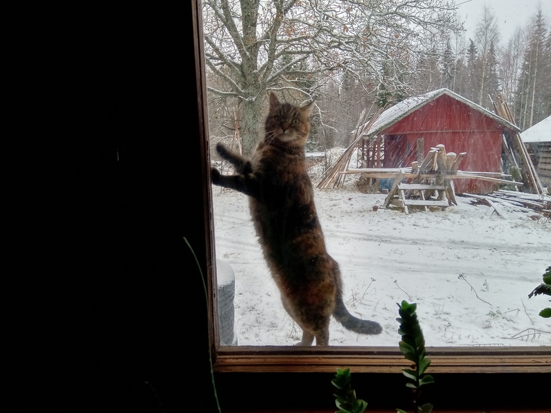 11th of November 2019