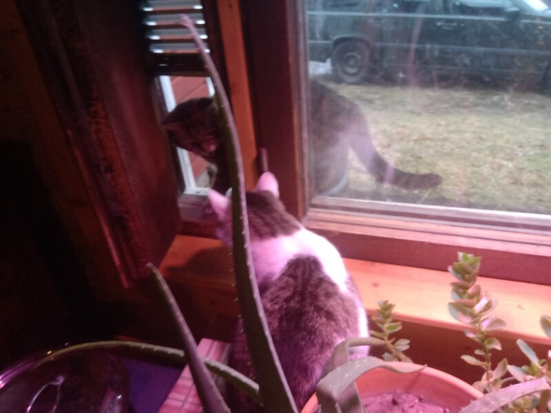 14th of November 2019