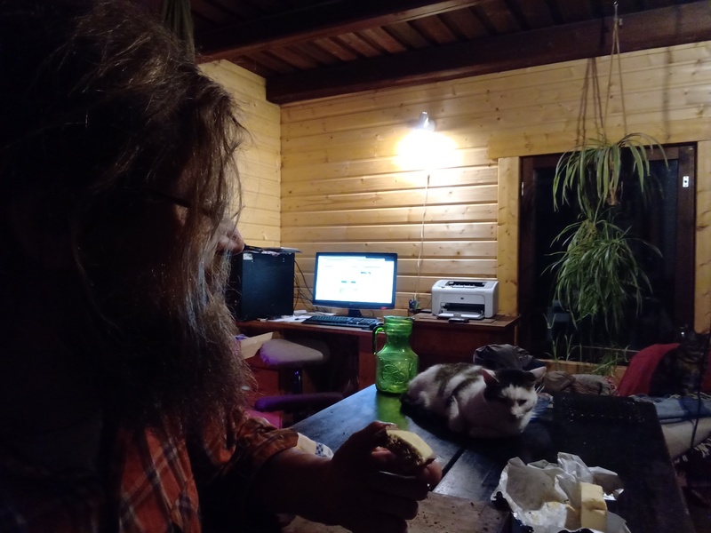 23rd of November 2019