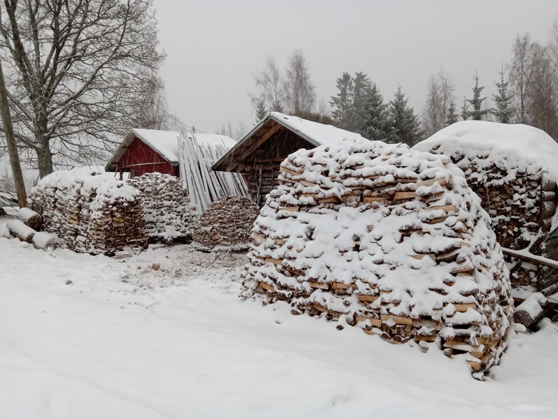 29th of November 2019
