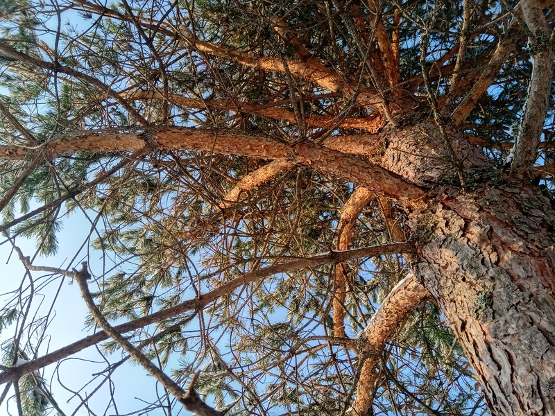 30th of November 2019