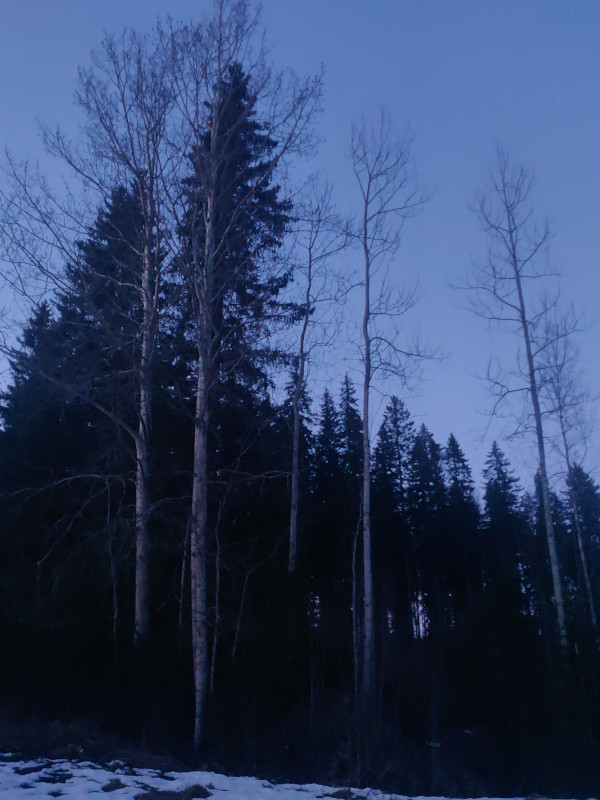 8th of April 2024