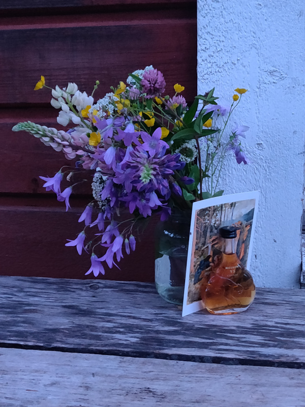 19th of June 2024 19th of June 2024