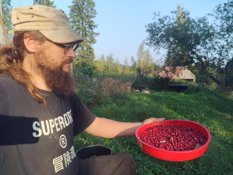 8th of September 2024