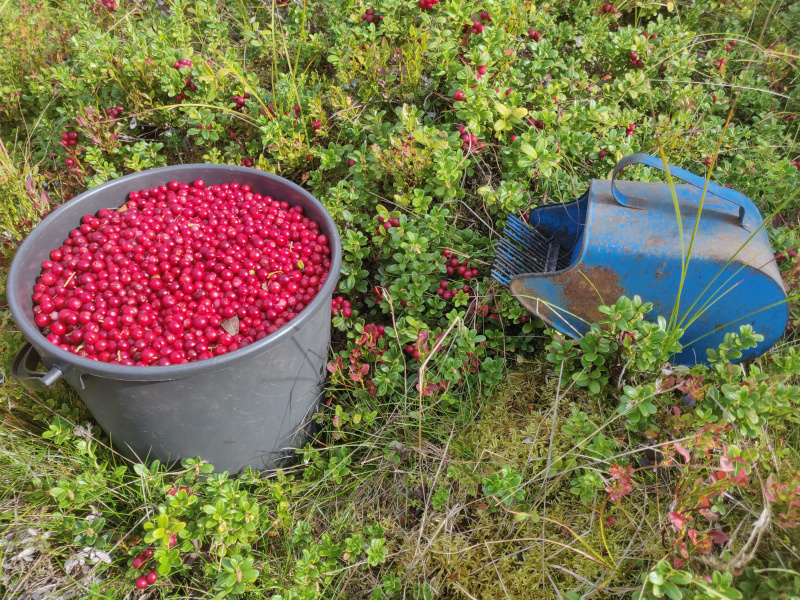 10th of September 2024