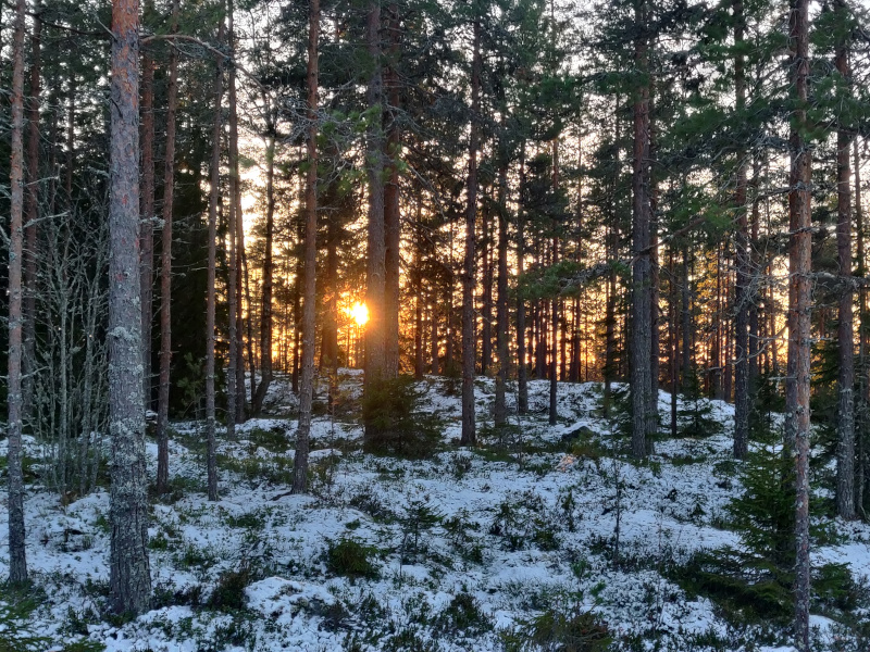 11th of December 2024