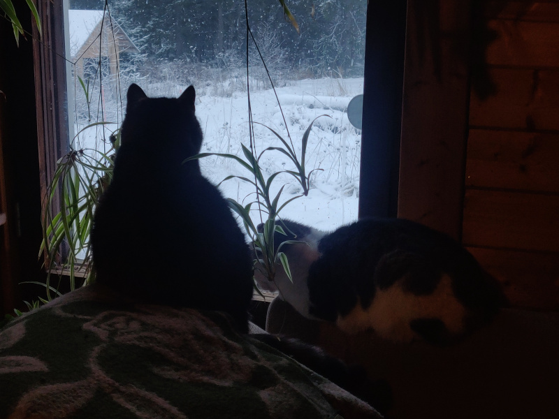 3rd of January 2026 3rd of January 2026