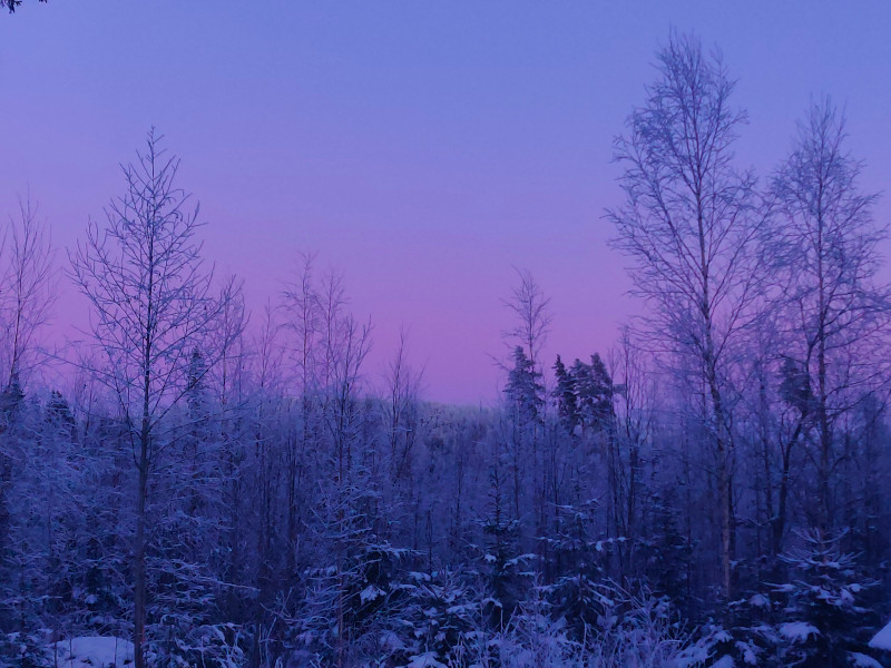 4th of February 2026