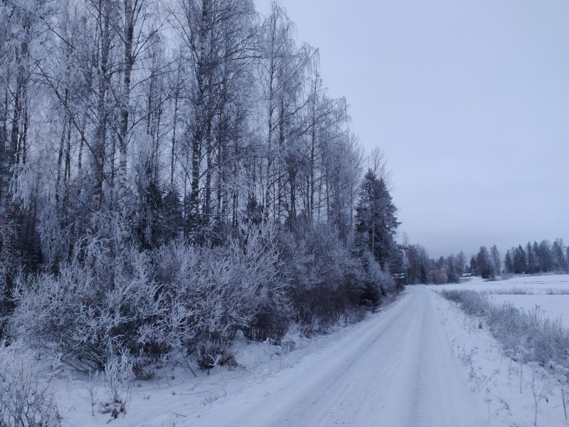 7th of February 2026 7th of February 2026