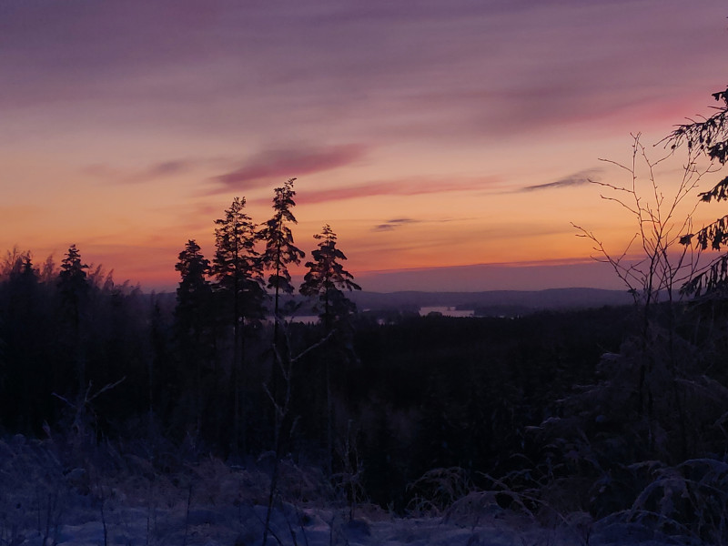 19th of February 2026