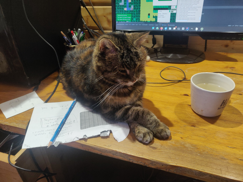 25th of February 2026 25th of February 2026