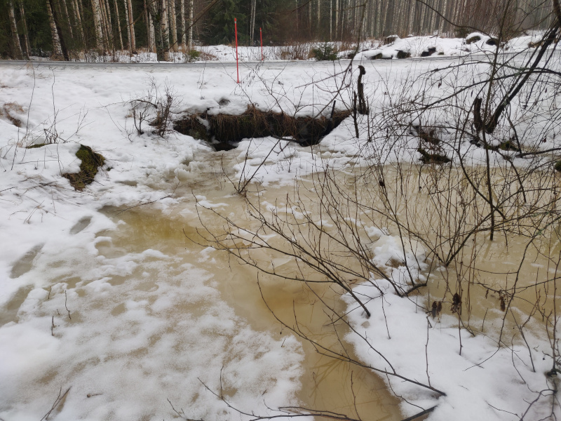 28th of February 2026