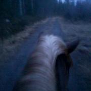 Late evening ride