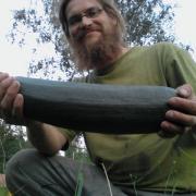 zucchini