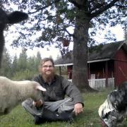 animals