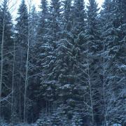 winter is here